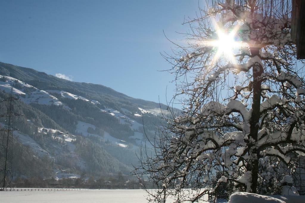 Ferienwohnung Schweinberger Sixtus Aschau Im Zillertal Exterior foto